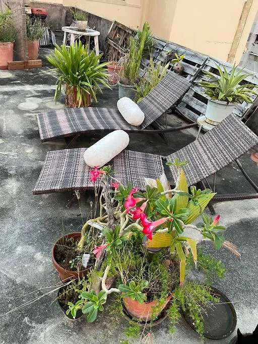 Fresh Tropical Colonial Style Walk-Up- Rooftop Terrace- Beach View San Juan Apartment